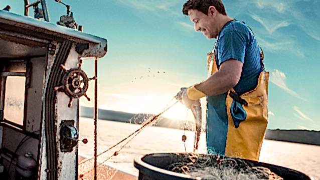 Metro Türkiye, tüm deniz ürünlerini av ve boy yasaklarına göre sunuyor