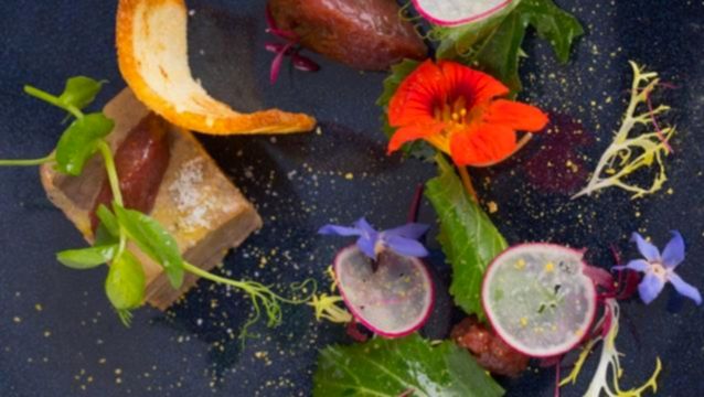 Dünyanın en kapsamlı Fransız gastronomi festivali Gabbro’da