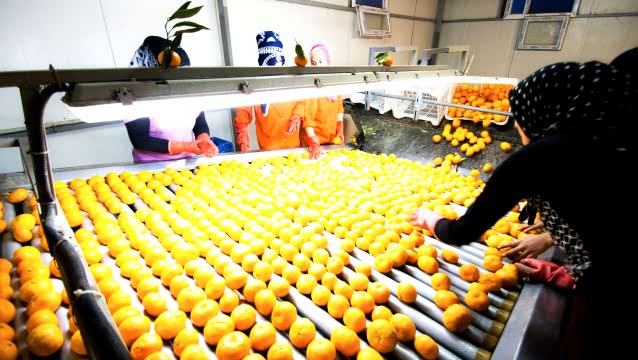 İhracatçılar güç birliğinde 