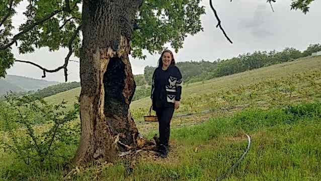 MaiBerry’nin tatlı başarısı!