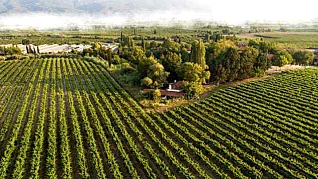 Değirmen Çiftlik: Topraktan turizme bir başarı hikayesi