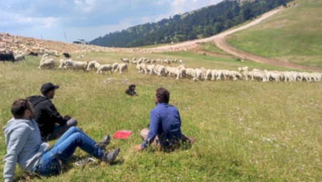 Üretirken toprağı iyileştiren model