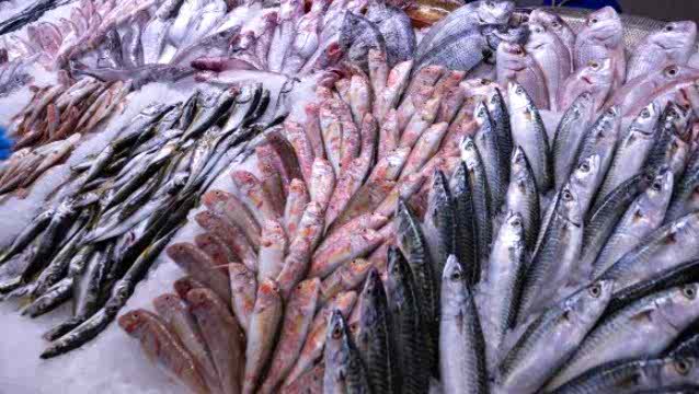 Yeni sezonda sofralar, Metro Türkiye’nin taptaze balıklarıyla lezzetleniyor